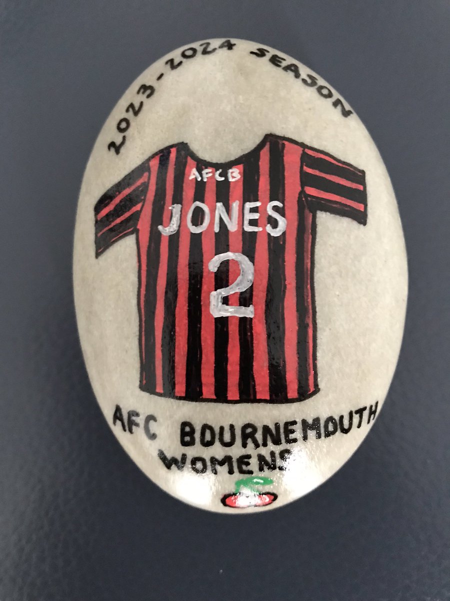 @AFCBournemouthW Good Luck ladies, I painted this pebble for @Jones2Abby this week.