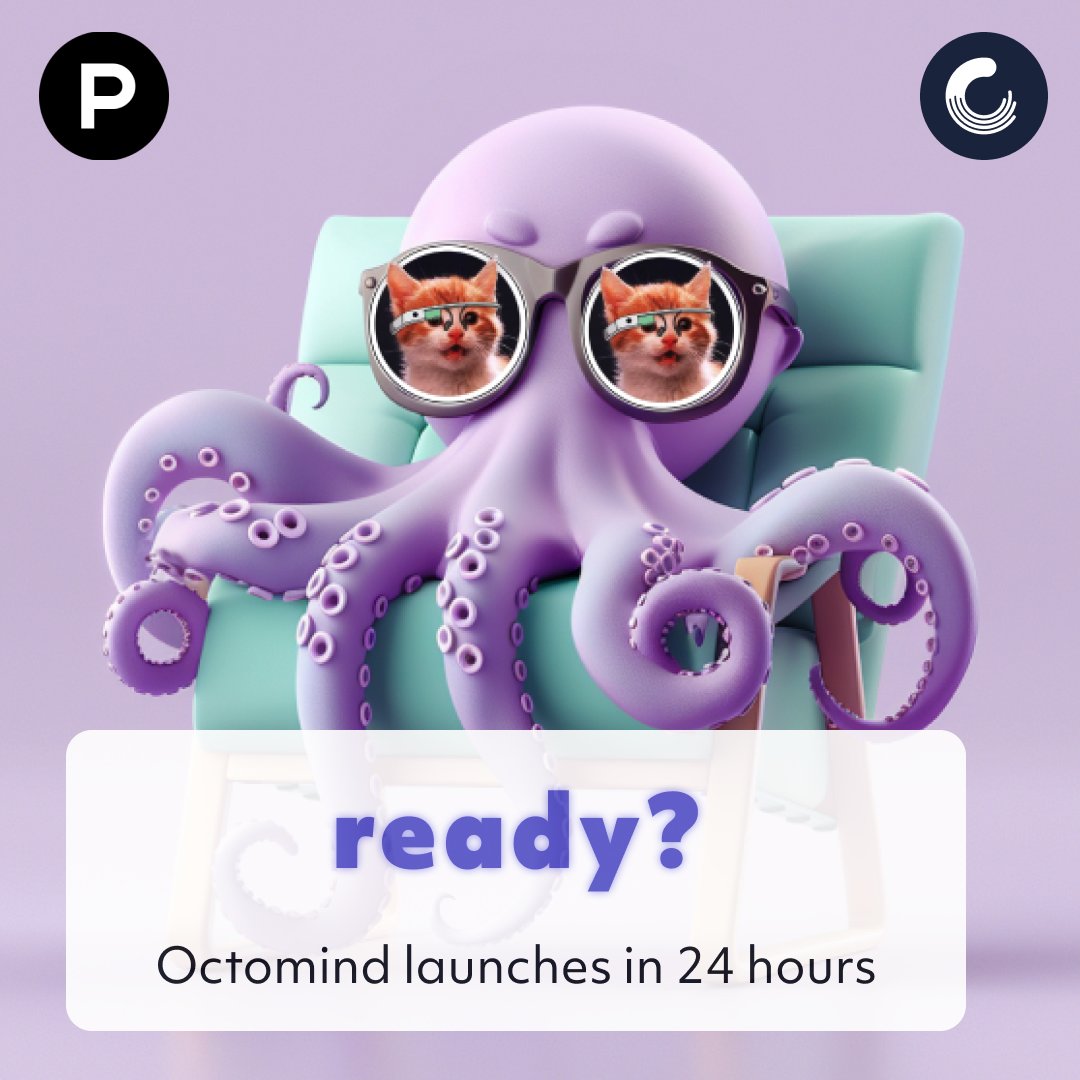 Octomind.dev (@octominddotdev) on Twitter photo 24 hours until we go live on <a href="/ProductHunt/">Product Hunt 😸</a> Get notified dub.sh/octo-launch #buildinpublic 24 hours until we go live on <a href="/ProductHunt/">Product Hunt 😸</a> Get notified dub.sh/octo-launch #buildinpublic