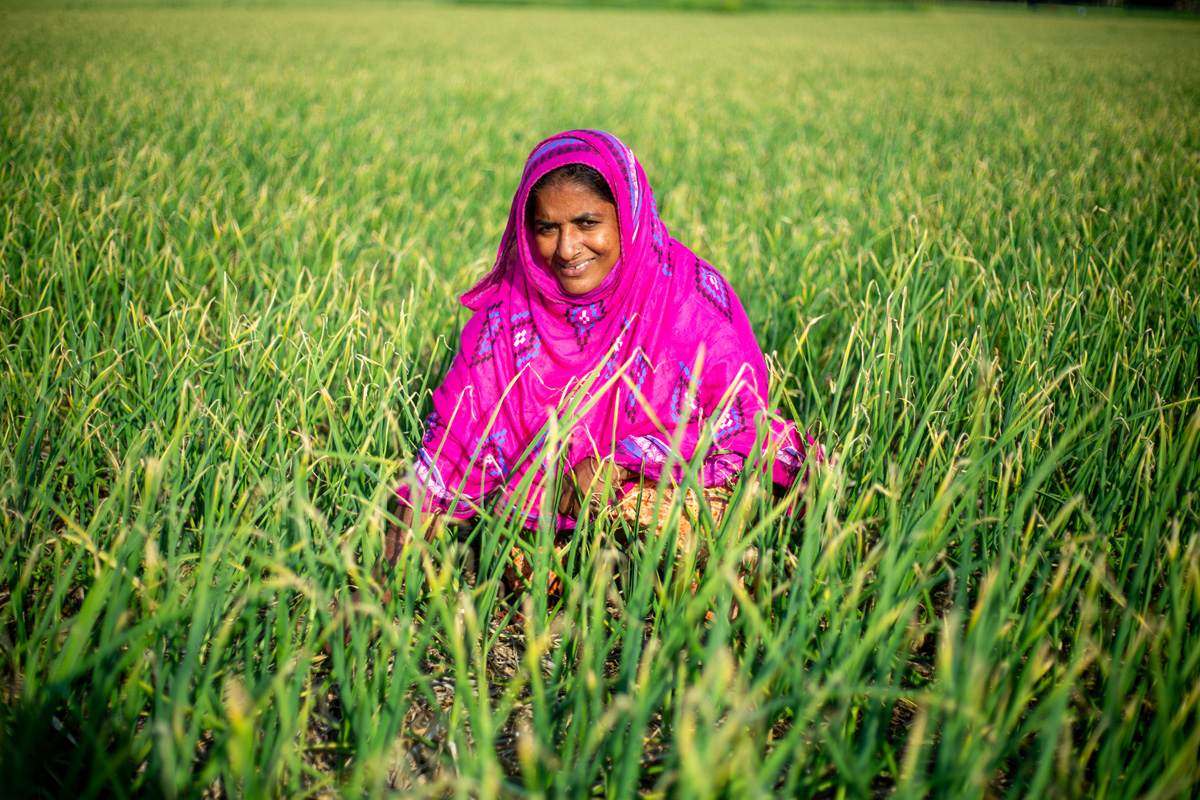 C_SUCSeS's tweet image. We are delighted to announce the release of a new article on Climate Smart Zero Tillage Garlic Technology within the Community of Practice (CoP) network of C-SUCSeS Project at the SAARC Agriculture Centre. Thanks for your happy reading : cop.sac.org.bd/.../zero-tilla…