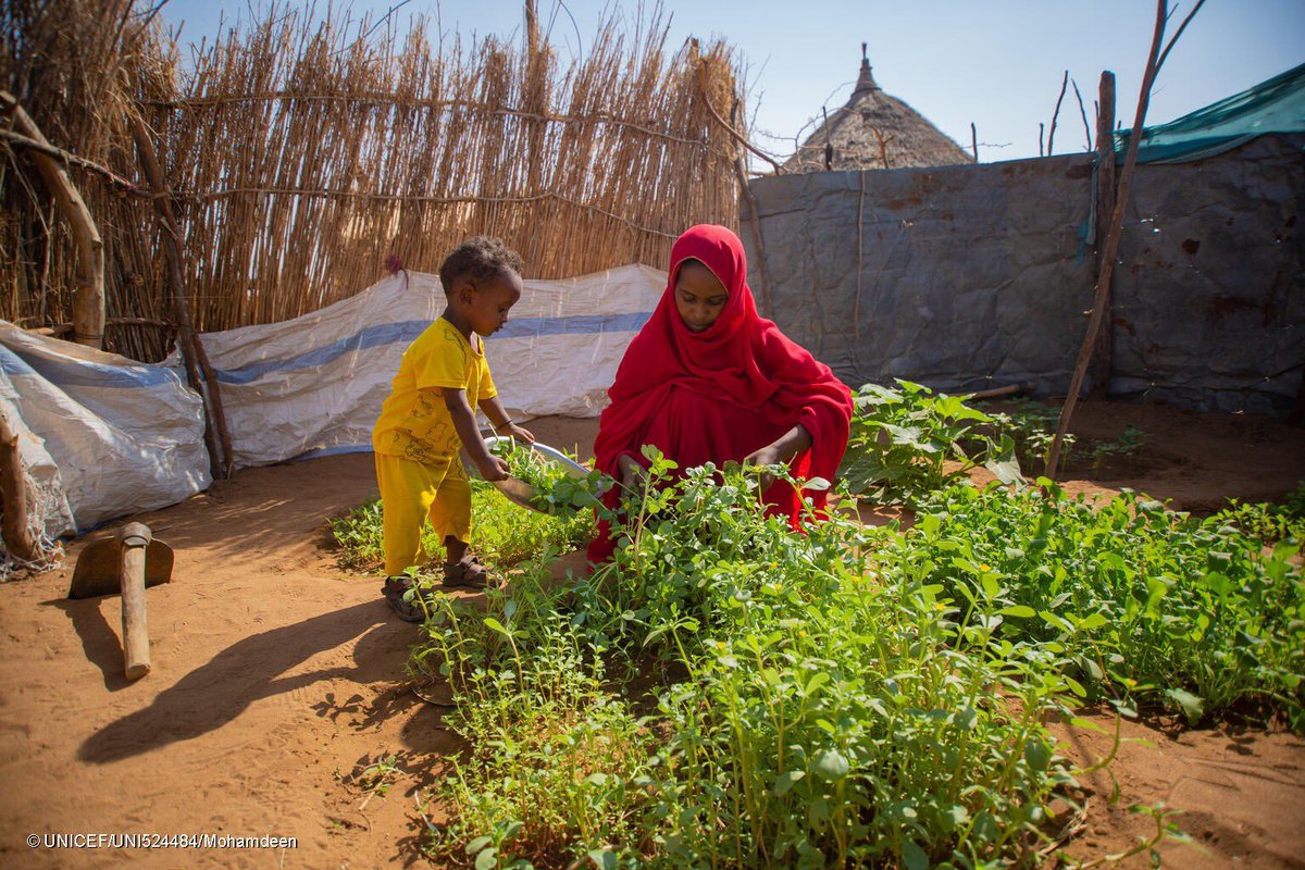 MandeepOBrien's tweet image. 3.8M children #Sudan suffer from acute #malnutrition

UNICEF helped Ohag to create a home garden &amp;amp; cook nutritious meals for her children to prevent malnutrition &amp;amp; keep families resilient

🙏 @DutchMFA #NoTimeToWaste for helping hundreds of thousands mothers &amp;amp; children like Ohag!
