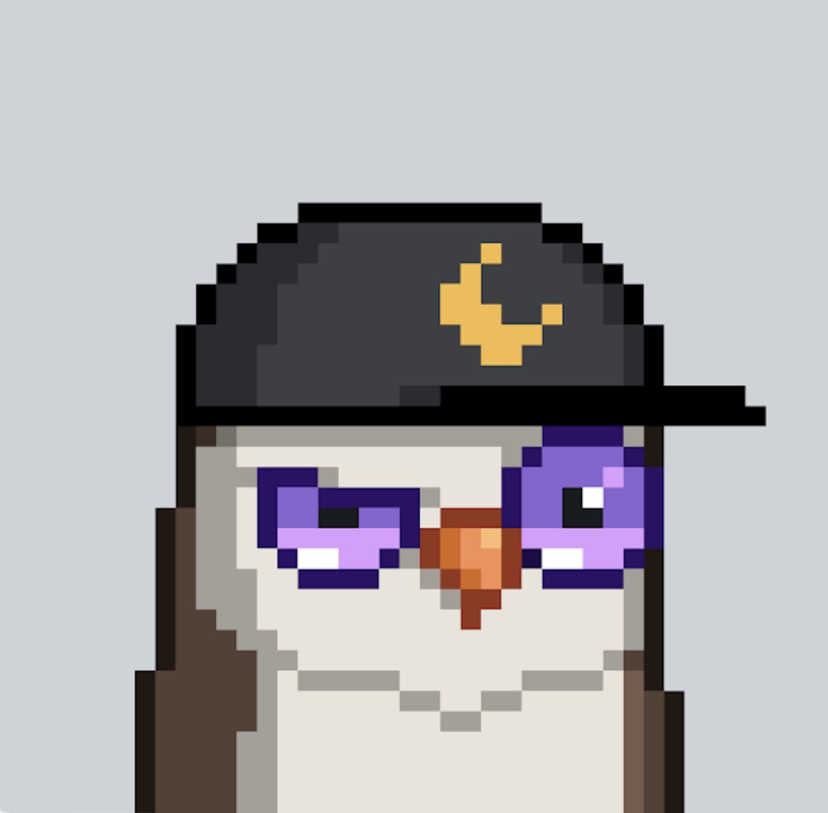UzairOsman2 tweet picture