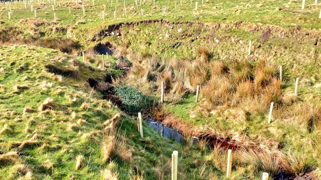 Jonathan Grey tweet media