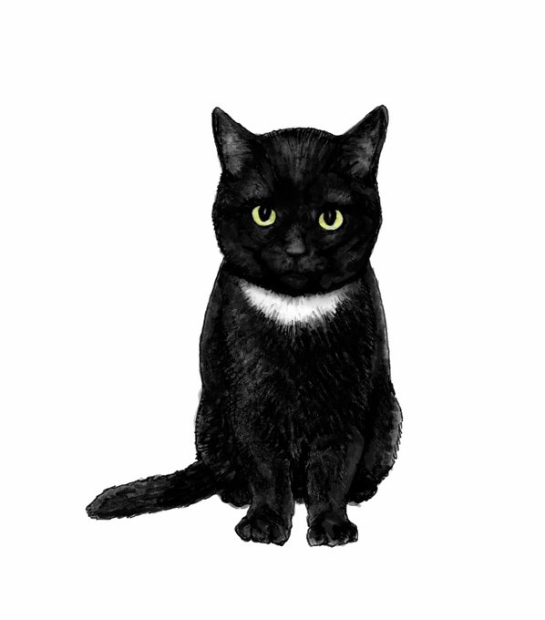 「黒猫 黄色眼」のTwitter画像/イラスト(新着)｜2ページ目