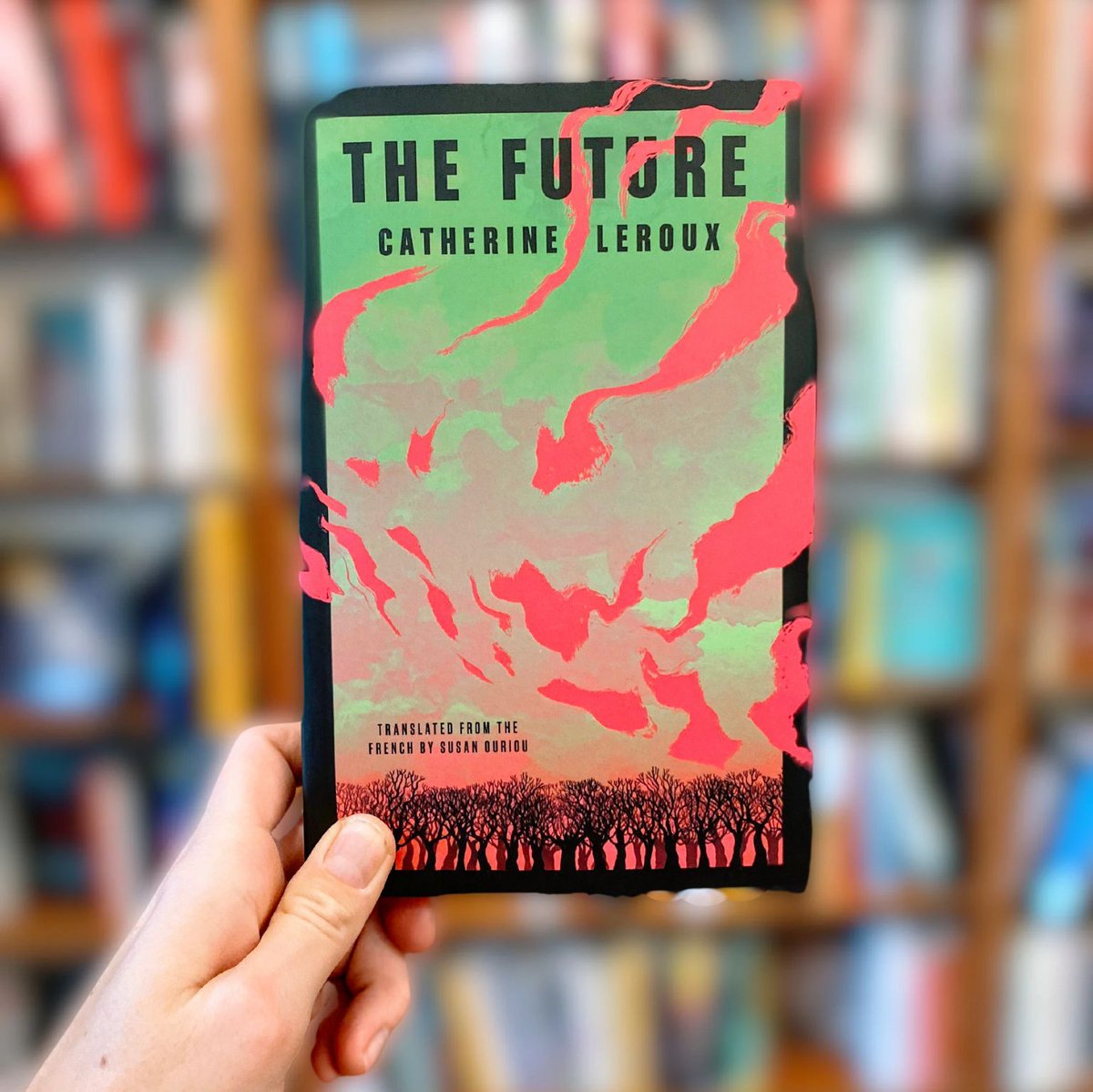 "Leroux paints a very bleak picture of this post-apocalyptic community facing difficult and uncertain times. Will there be a sense of... hope for this dystopian society? Looking forward to working my way through the rest of this novel to find out! "
- Dennis Milenov <a href="/cbcbooks/">CBC Books</a>