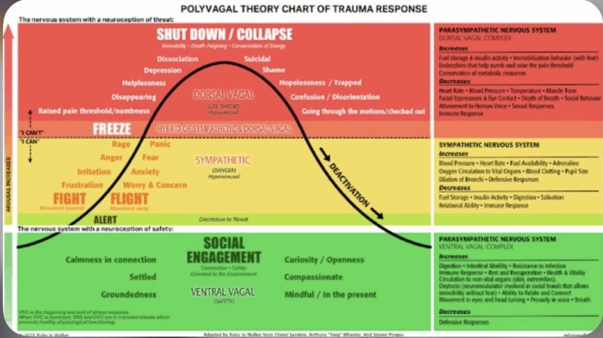@JacquiDeevoy1 Everything is by design to put the nervous system into a dorsal Vagal state… people become like zombies when traumatised to the ent degree. We drop from fight/flight sympathetic NS into dorsal - helpless, hopeless - vulnerable #polyvagaltheory 
#dorsalhell