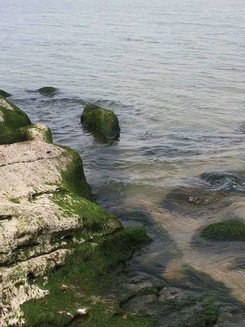 In dreams, I’ll hold you close, my dove.