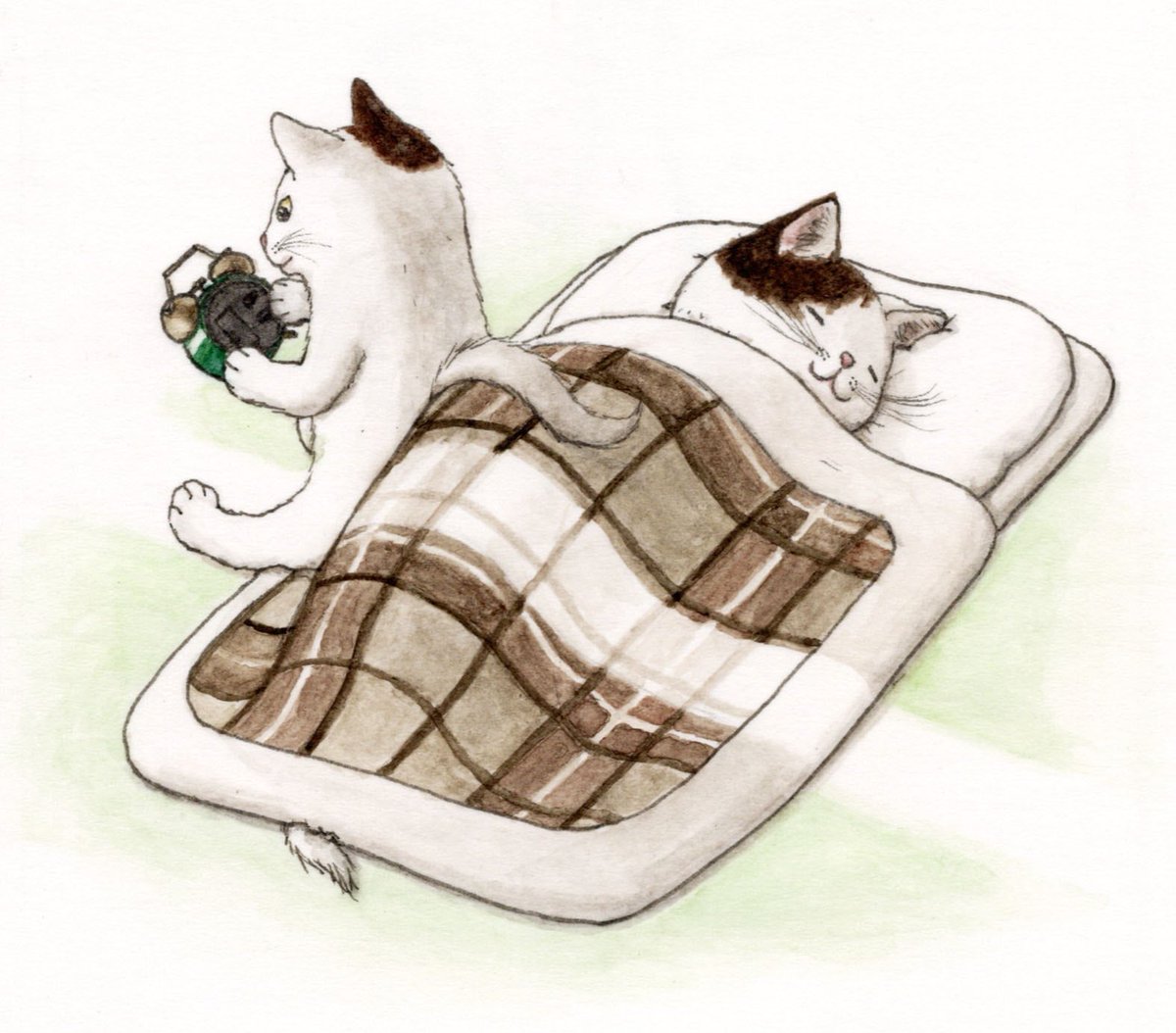 「『スヤスヤ猫』シリーズ#猫  #cat  #水彩  #illustration 」|エルクポットの動物群像絵🐾のイラスト