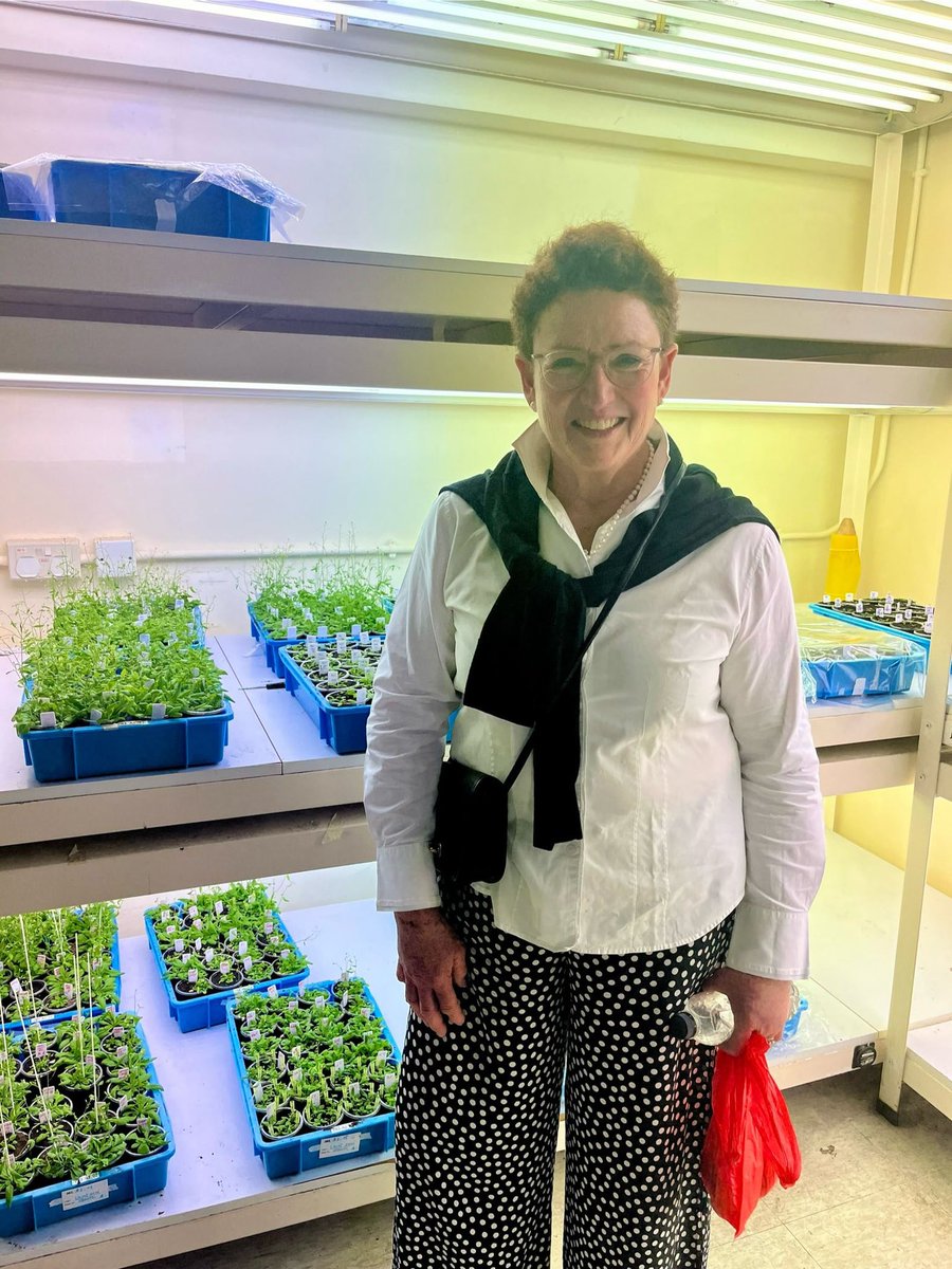Sharon Tooze (@sharontooze01) on Twitter photo A great visit to CUHK Hong Kong to learn about the beautiful work being done <a href="/CUHKScience/">Faculty of Science, CUHK</a> by Xiaohong Zhuang in 🌱 #autophagy #WIA #plantautophagy A great visit to CUHK Hong Kong to learn about the beautiful work being done <a href="/CUHKScience/">Faculty of Science, CUHK</a> by Xiaohong Zhuang in 🌱 #autophagy #WIA #plantautophagy