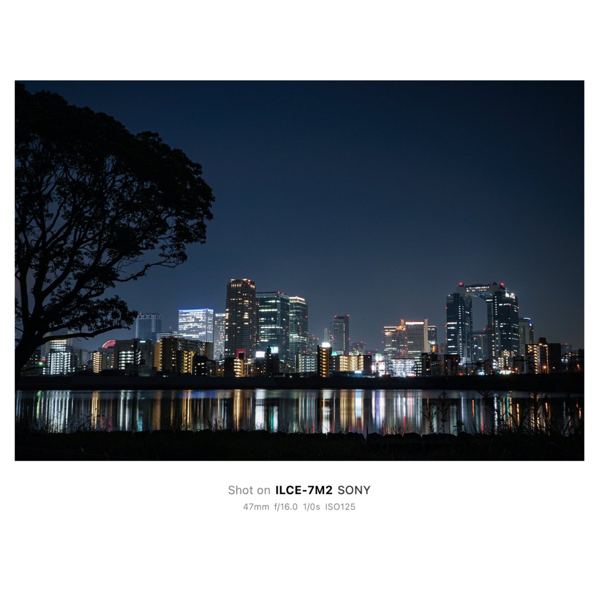 大都会の煌めき✨
淀川を挟んで向こう側はまさに異世界。。笑