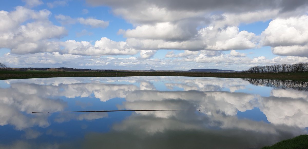 chrisjay tweet media