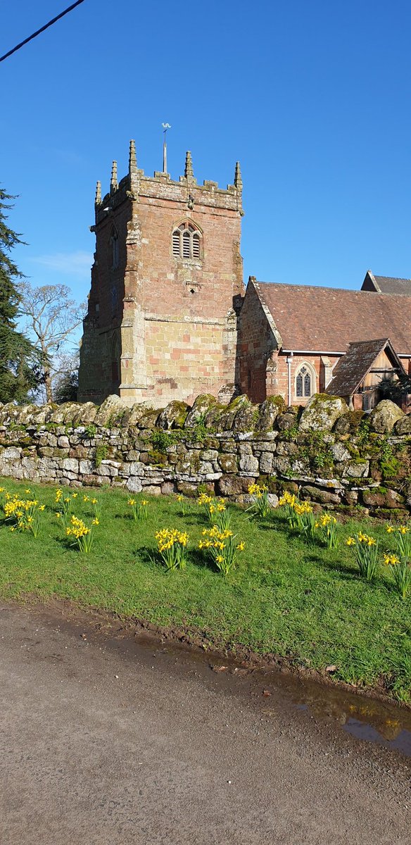 chrisjay tweet media