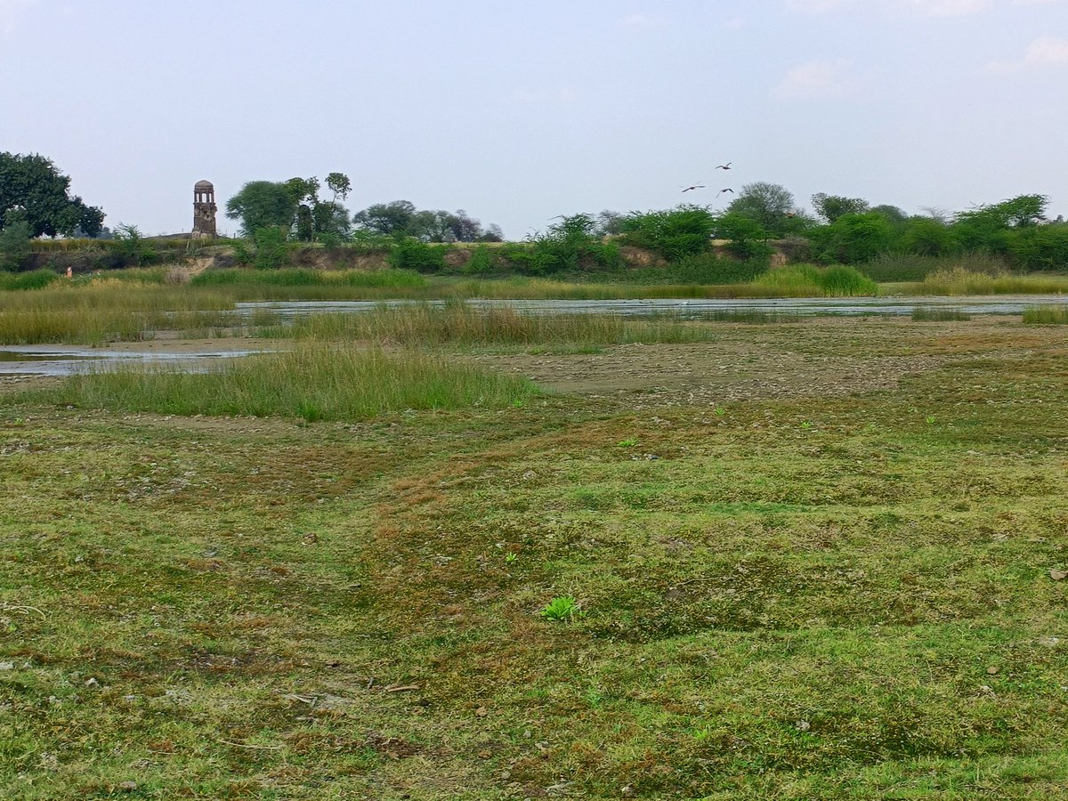 Mahi kewat (@mayakewat656613) on Twitter photo 