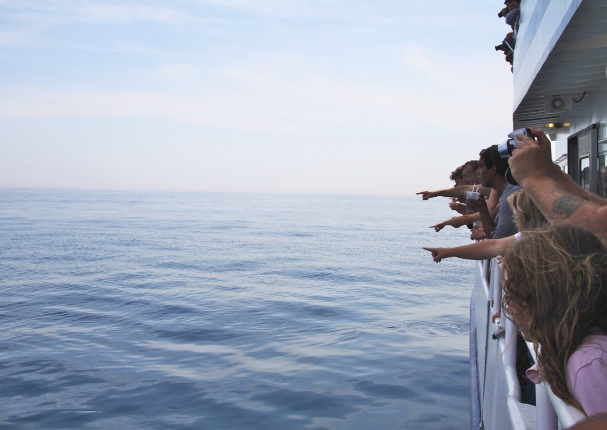 «La cura di tutte le cure è quella di cambiare punto di vista, di cambiare se stessi e con questa rivoluzione interiore dare il proprio contributo alla speranza in un mondo migliore».

(Tiziano Terzani)
📸Elizabeth Huey