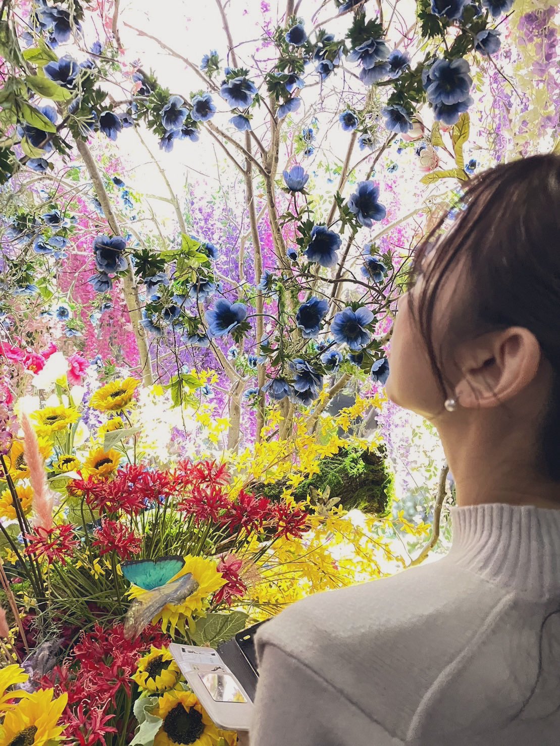 Amazon.co.jp: ダーツプロ 相内晴嘉(あいないはるか) phoenix