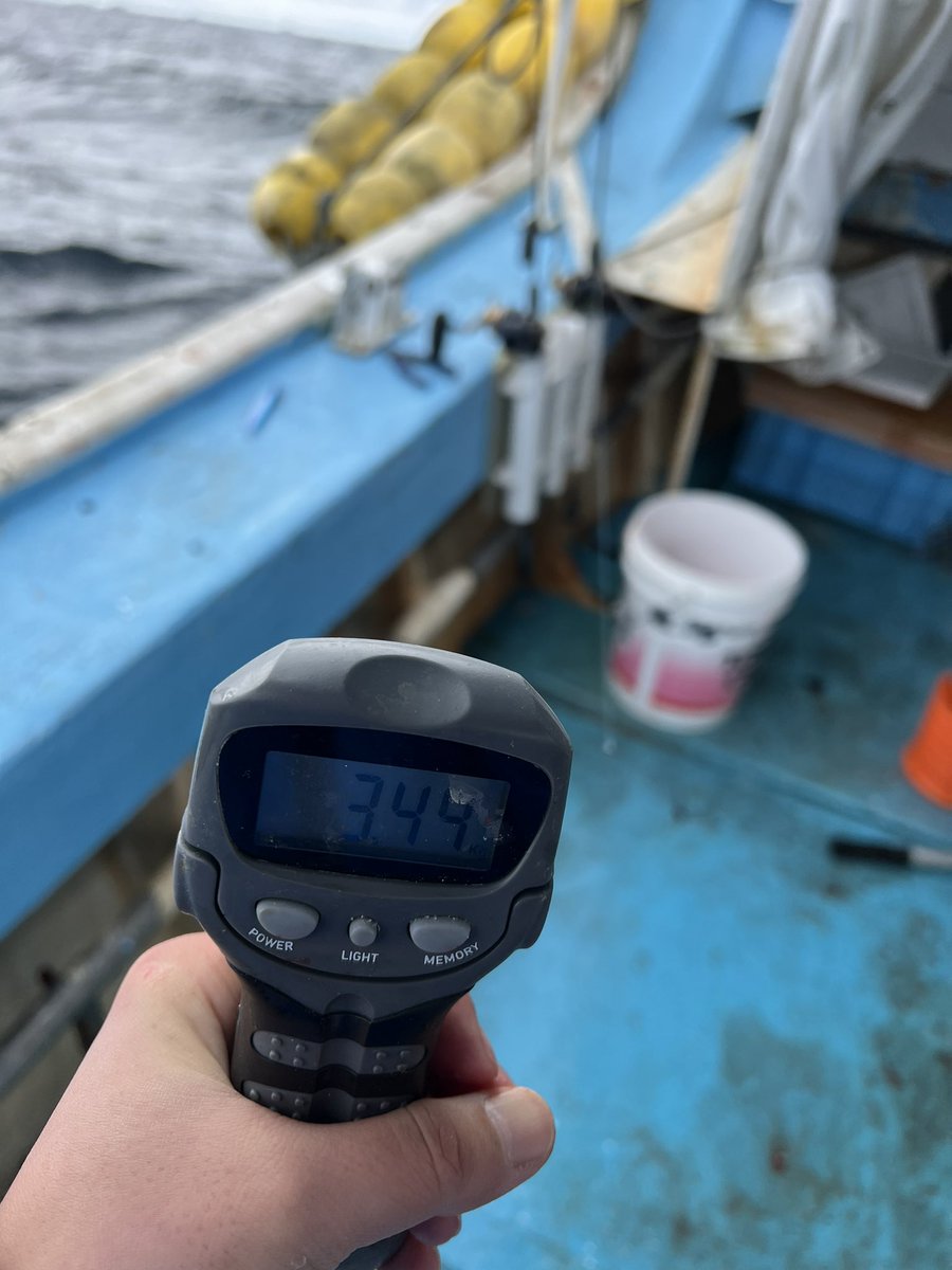 35_loves's tweet photo. 前日の鱒ジギングは本数こそ釣れませんが、板鱒釣り上げれたので大満足です！早い段階でメモリアルフィッシュありがとう😊まだまだイケる👍🌸 https://t.co/sm3Pd4dpF7