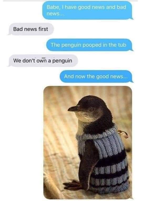 WholesomeMemes (@wholesomememe) on Twitter photo 
