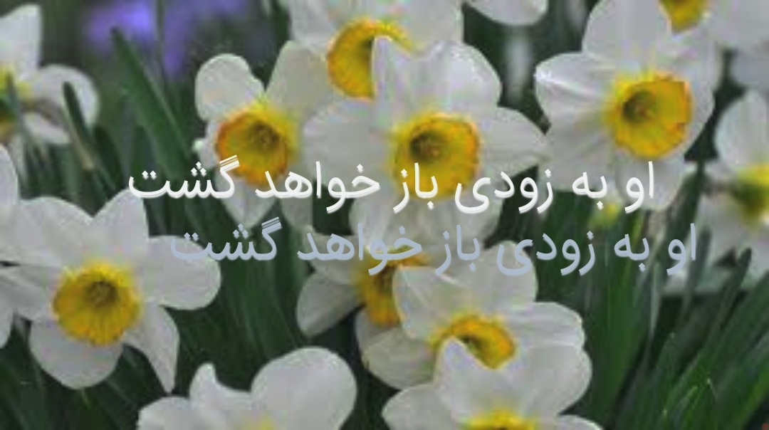 بشر با همه ادعایی که دارد هنوز نتوانسته است گوشه ای از این جهان را به درستی و عدالت اداره کند
به غیر ازحکومت منجی وعده شده در ادیان هیچ ایدئولوژی و مکتبی نمی تواند عدالت را برقرار کند، إنشاءلله بازگردد و اشغالگری ۱۳۰ ساله خراسان پایان پذیرد.
#تولد_مهدی_صاحب_الزمان_مبارک