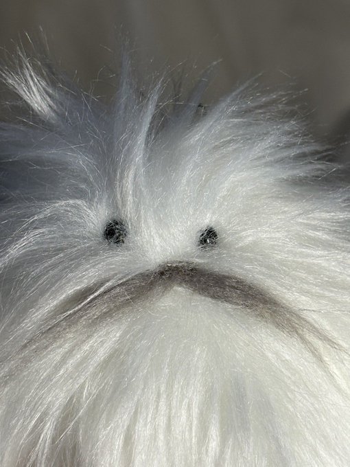 星乃あんなのTwitter画像4