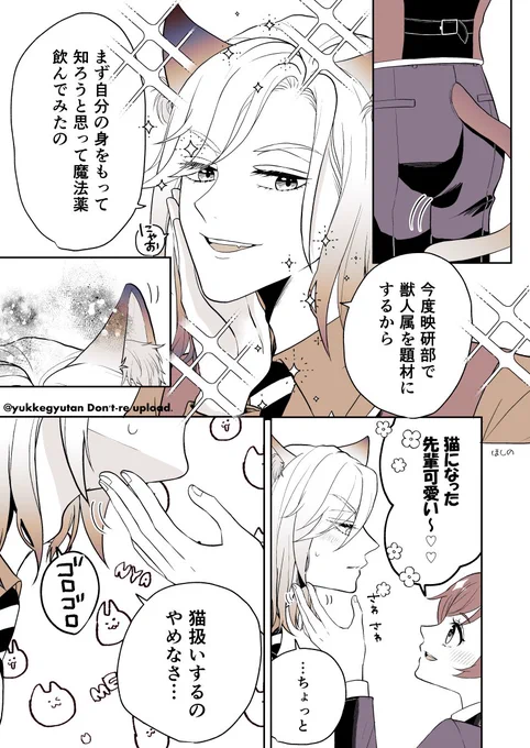 ヴィル監♀
遅刻の猫の日😂
猫になって監に翻弄されるヴィ
男装/顔あり

#twstプラス 