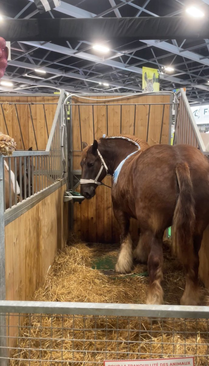 psbobigny_'s tweet photo. Au Salon de l’agriculture pour profiter de cette belle fête. Nous avons une pensée pour nos agriculteurs et agricultrices, éleveurs, producteurs qui se battent au quotidien pour survivre et apporter les meilleurs produits possibles !
Merci pour votre présence et votre combat ! 🌹 https://t.co/YkmFh78sou