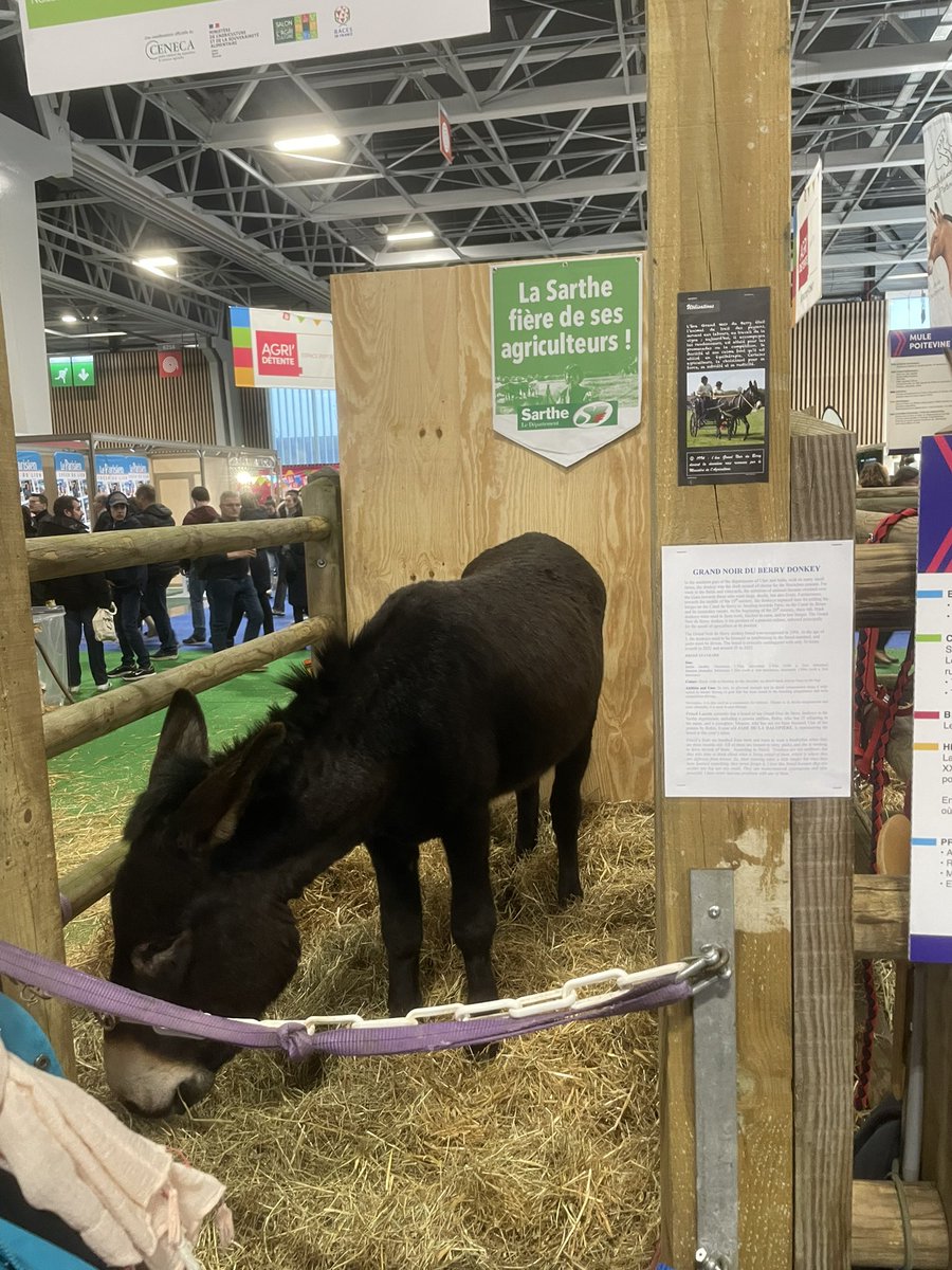 psbobigny_'s tweet photo. Au Salon de l’agriculture pour profiter de cette belle fête. Nous avons une pensée pour nos agriculteurs et agricultrices, éleveurs, producteurs qui se battent au quotidien pour survivre et apporter les meilleurs produits possibles !
Merci pour votre présence et votre combat ! 🌹 https://t.co/YkmFh78sou