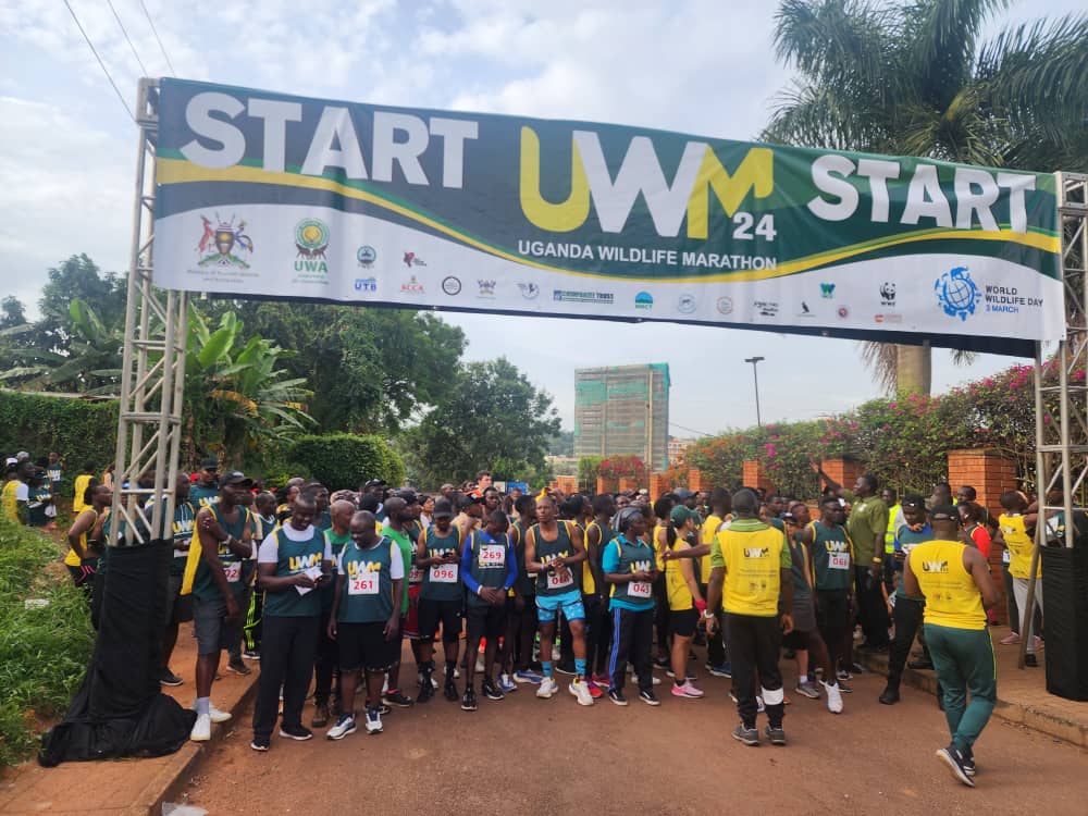 UWEC_EntebbeZoo's tweet photo. @UWEC_EntebbeZoo strides for a noble cause 🏃💨 Today, we participated in the #UWM24 to support the education of children whose parents died while performing their jobs as rangers. Every step counts in honoring their sacrifice & ensuring a brighter future for these young minds. https://t.co/2GS4C9pu4d
