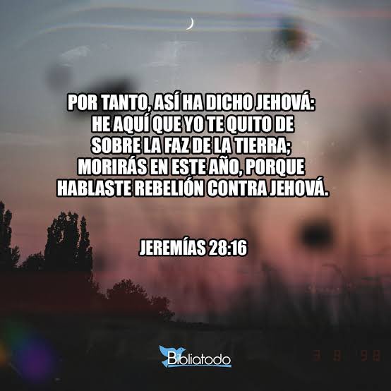 Dios, danos discernimiento para reconocer la verdad en tu Palabra y no ser engañados por lo que simplemente deseamos escuchar. Ayúdanos a seguir tus auténticos designios. Jeremías 28 #rpsp #PrimeroDios