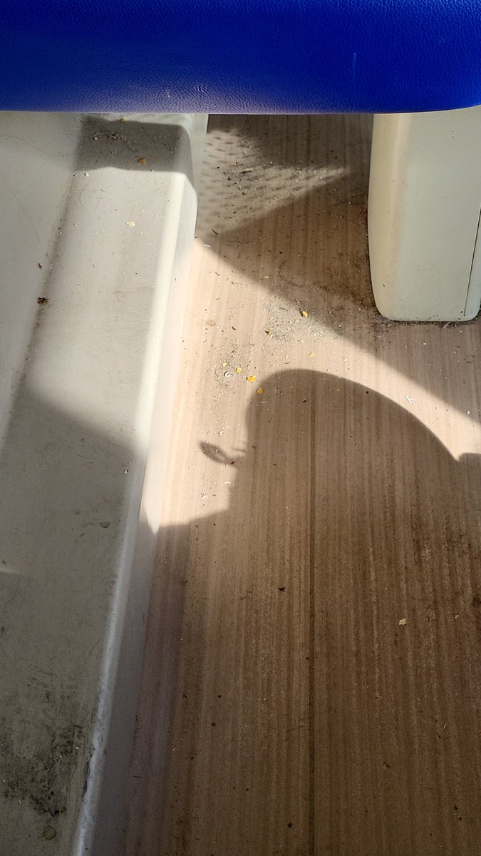 Marieke van Heusden tweet media