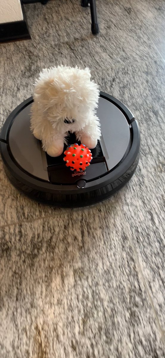 Fluffone helps with cleaning today. Of course, his ball doesn’t leaves his sight. #plushies #storytime #cute #kawaii