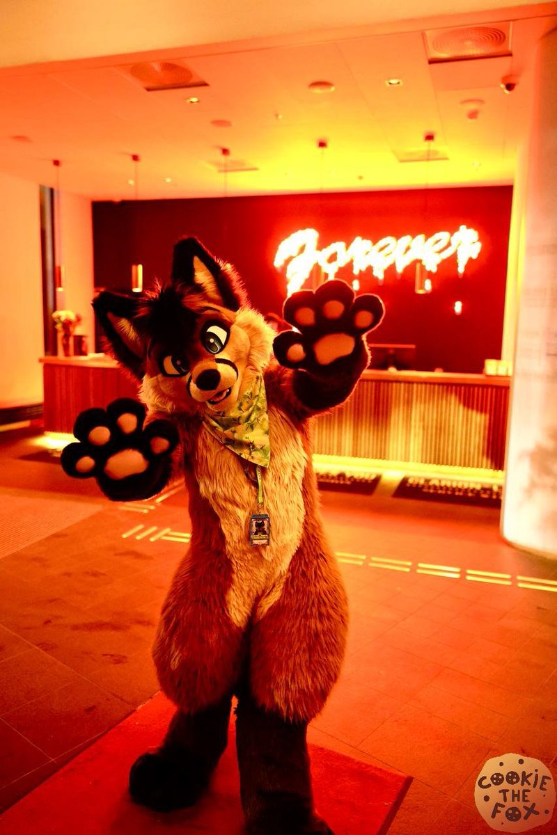 CookietheFoxNL's tweet photo. It was great last few days! Who do I see for cuddles today? 😊
#NFC2024

📷 @erilocrown https://t.co/vS3kMw66JN