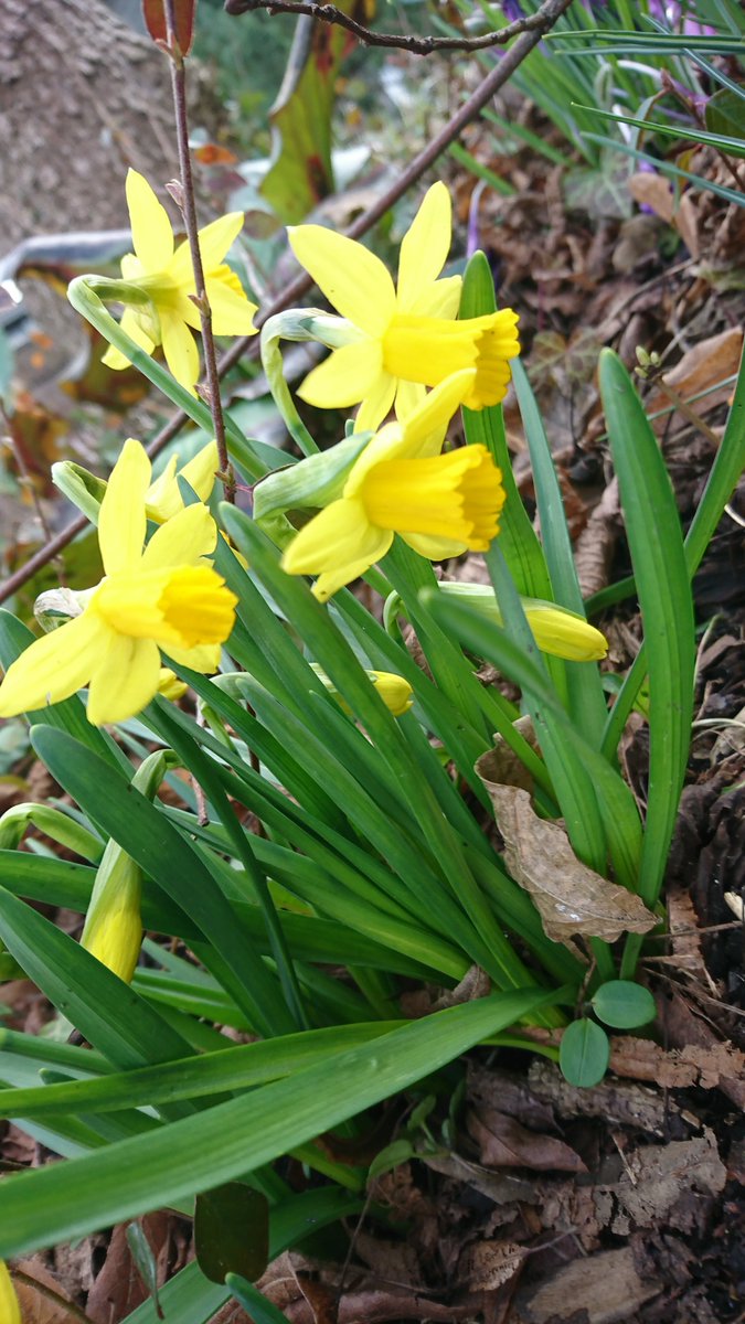 TraubenMortadelle (@darkmortadelle) on Twitter photo 