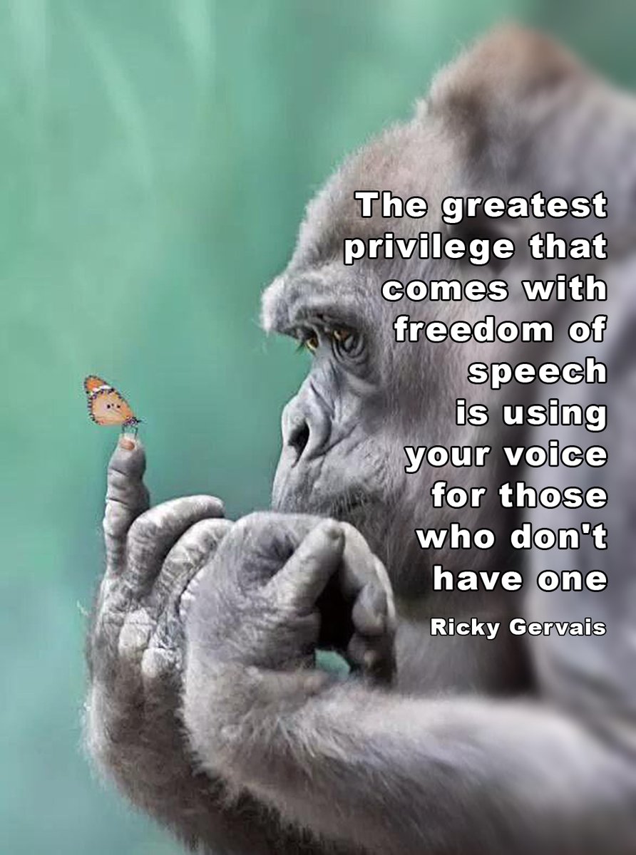 _AnimalAdvocate's tweet image. 🐵Why do they do #AnimalTesting?
🦋 It avoids testing on humans.
🐵But dogs are different.
🦋That&apos;s why it doesn&apos;t work.
🐵So it&apos;s totally pointless.
🦋Not if the point is to keep making money.

Help @BetsyAmbassador #EndAnimalTesting🙏
@RickyGervais @PeterEgan6 @ChrisGPackham