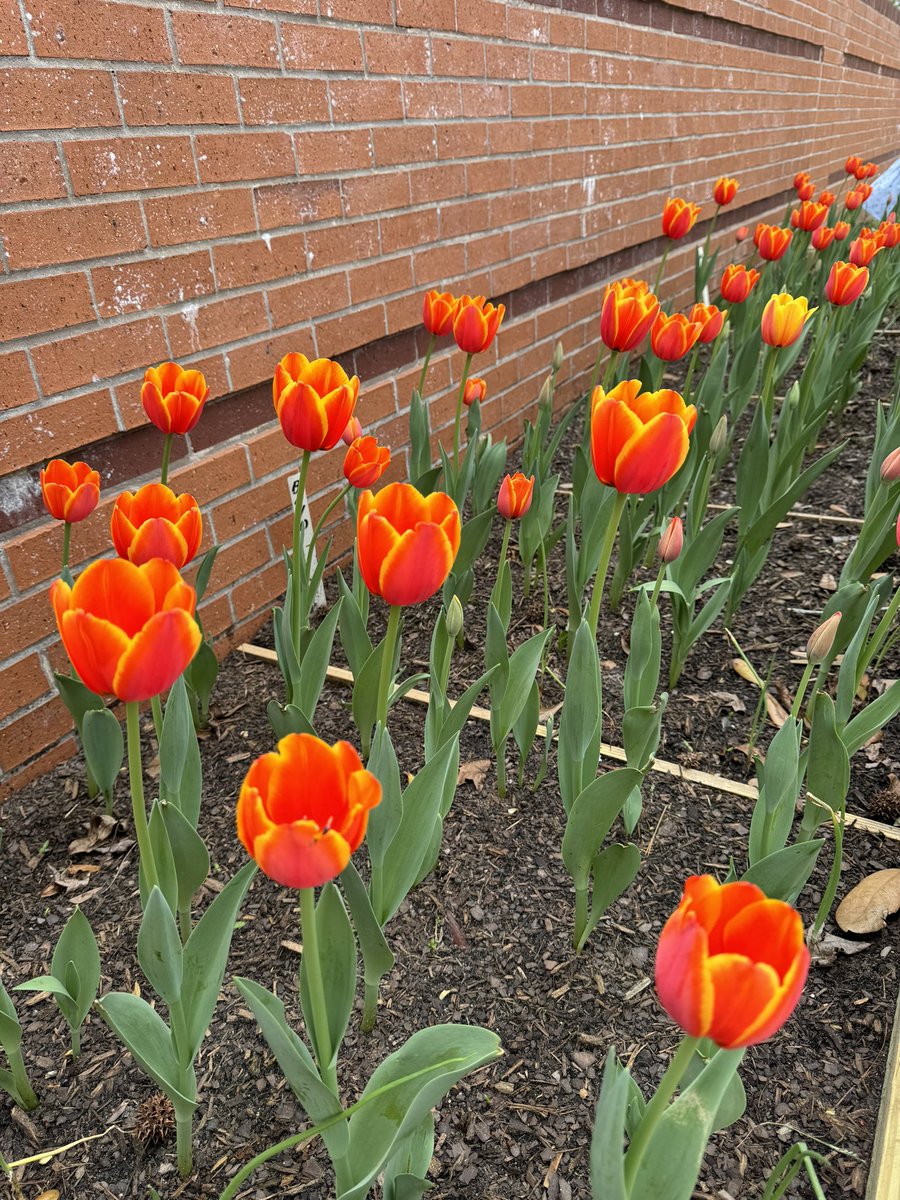 Melanie Smith tweet media