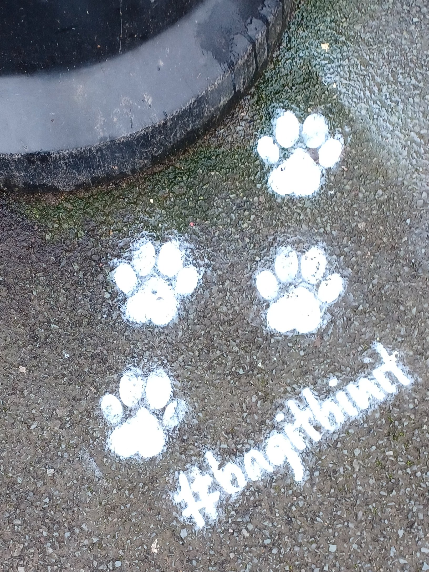 Dog poo spray paint 2025