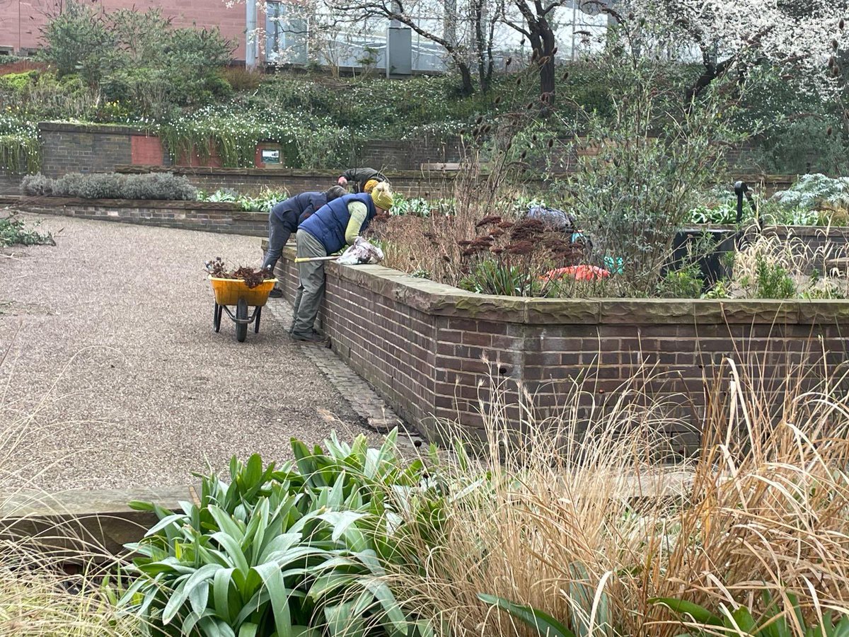 Chester Supertrees (@chesterstrees) on Twitter photo Beautiful spring day down at Supertrees!
Credit to <a href="/Go_CheshireWest/">Cheshire West</a> for the great pathways clean up and de-weed! It gave us chance to tackle the planting 🌿🌱🌹🌸🪻
<a href="/ShitChester/">12 years of Shitchester</a> Beautiful spring day down at Supertrees!
Credit to <a href="/Go_CheshireWest/">Cheshire West</a> for the great pathways clean up and de-weed! It gave us chance to tackle the planting 🌿🌱🌹🌸🪻
<a href="/ShitChester/">12 years of Shitchester</a>