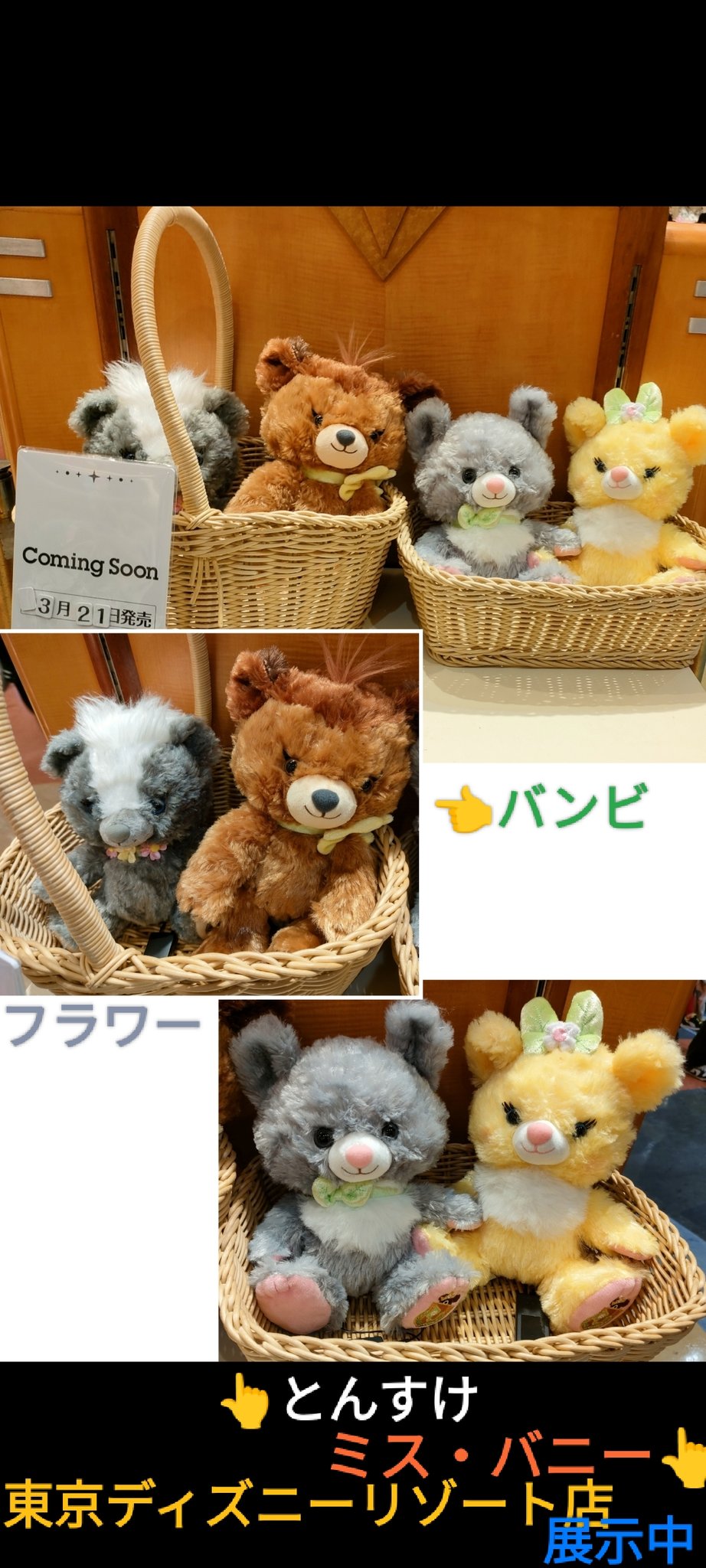 TDR ディズニー ぷらん on X: 