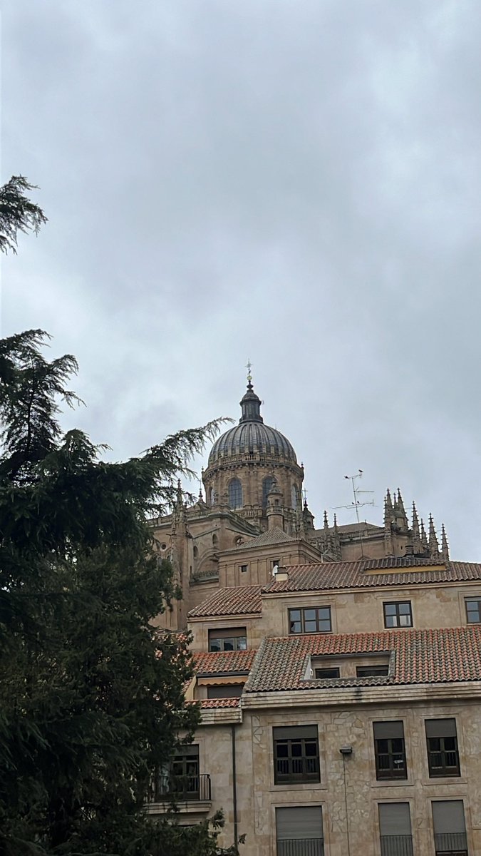 Ccirenne's tweet photo. salamanca, entre tus piedras de oro aprendieron a amar los estudiantes...!!!!! https://t.co/mb9h0pvV38
