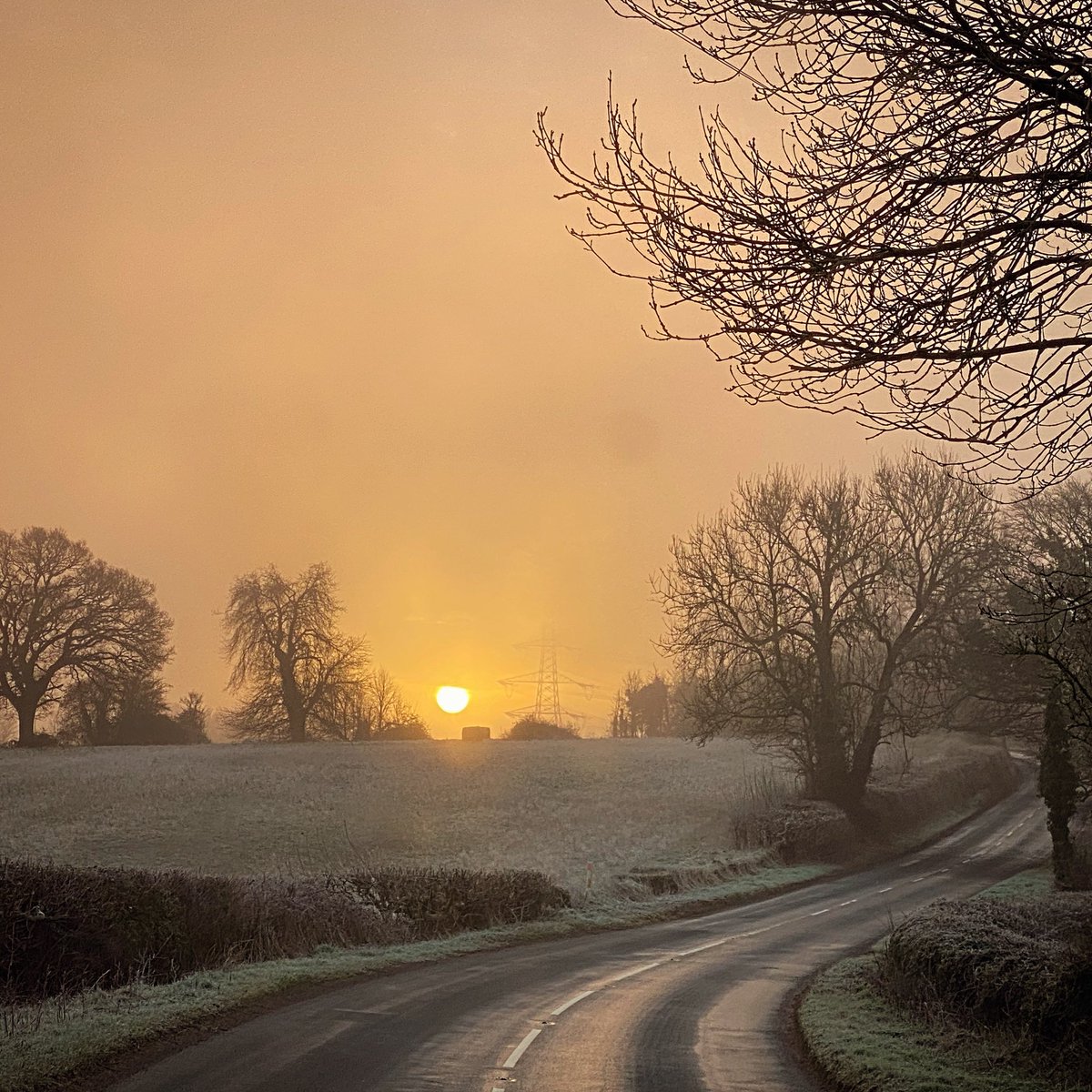The world can be unexpectedly beautiful 

#latewinter 
#earlymorning