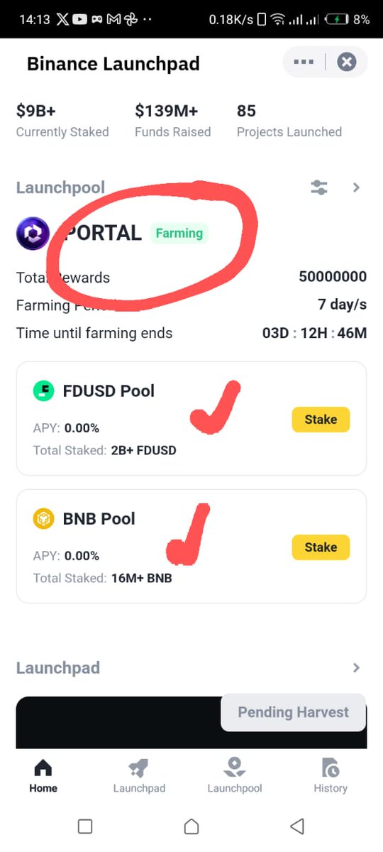 Step 4: Stake however you want on the BNB Pool.