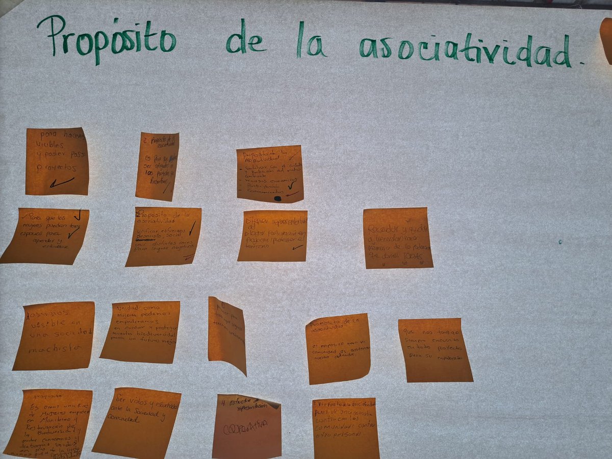 PeaceWNature's tweet image. En el 5to día del taller #LiderazgodeMujeres dialogamos sobre el empoderamiento, asociatividad y oportunidades para contribuir en la protección de los bosques @InstitutoSINCHI 
#UKPACT
@UKinColombia 
@Sydney_Science 
@ARNColombia 
@JaimeGongoraSyd 
🌿 #mujerempoderada #Amazonas