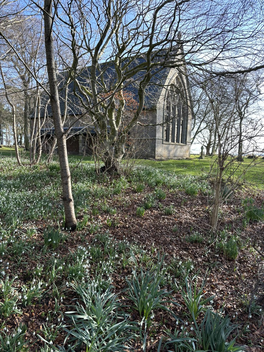 Lisa Kerr (@thelisakerr) on Twitter photo The Michael Kirk <a href="/gordonstoun/">Gordonstoun</a> is looking gorgeous in the spring sunshine with its carpet of snowdrops. The Michael Kirk <a href="/gordonstoun/">Gordonstoun</a> is looking gorgeous in the spring sunshine with its carpet of snowdrops.