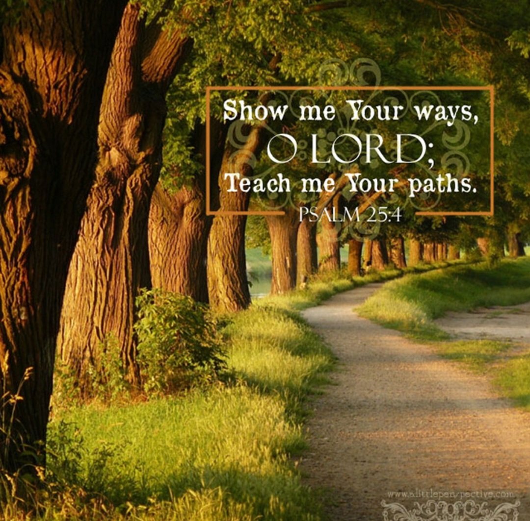 Make me to know your ways, O Lord; teach me your paths. Psalm 25:4