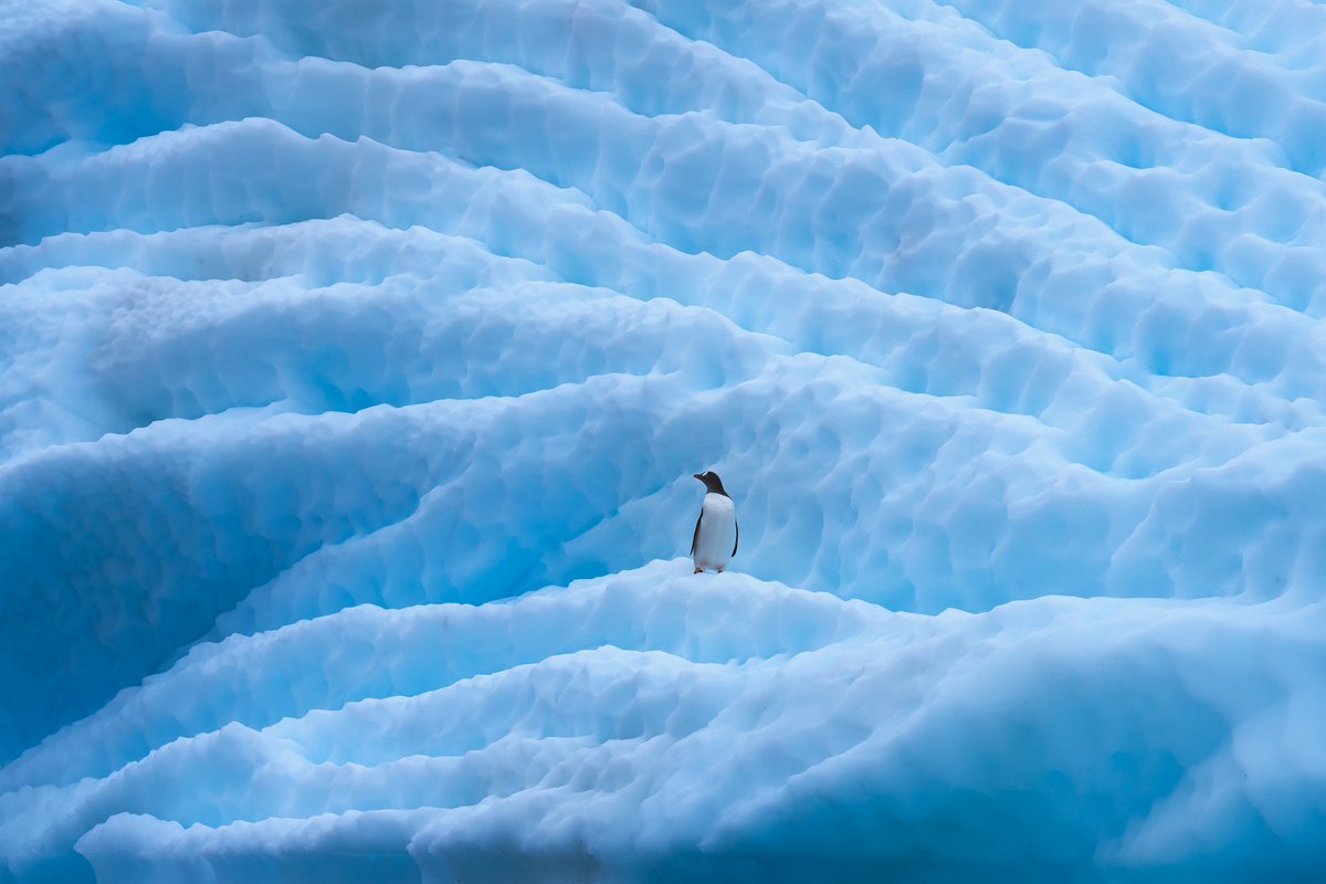 Flying to Antarctica today. Can't wait to see my penguin friends again :D !