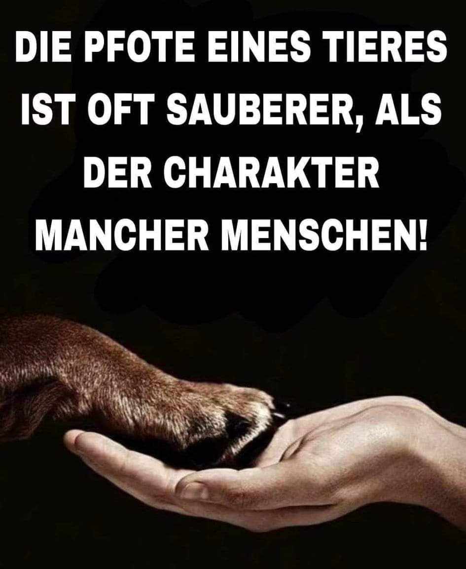 Gem_f_d_Tiere's tweet photo. DEFINITIV!!! https://t.co/MqLrdFRZ16