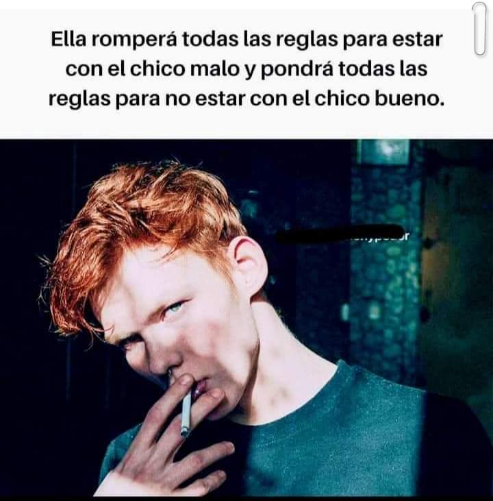Un Hombre Basado tweet media