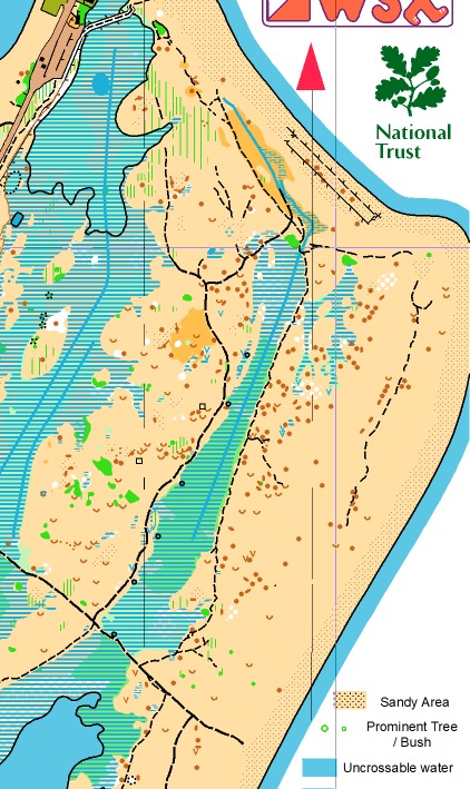 Wessex Orienteering Club tweet media