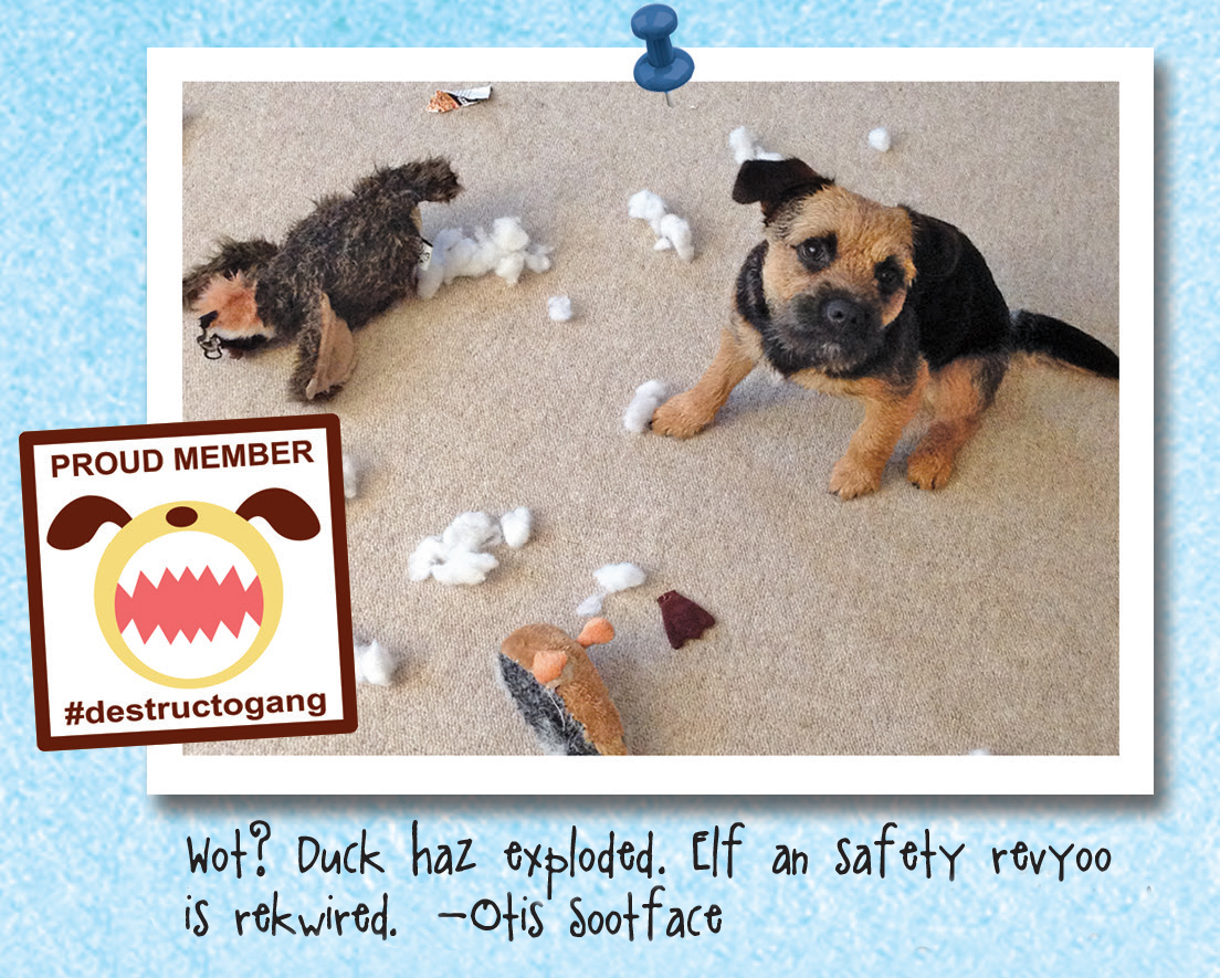 MistaHippyDalek's tweet photo. #BTPosse frowback, 2014 #Destructogang https://t.co/f5Tuev3B0l