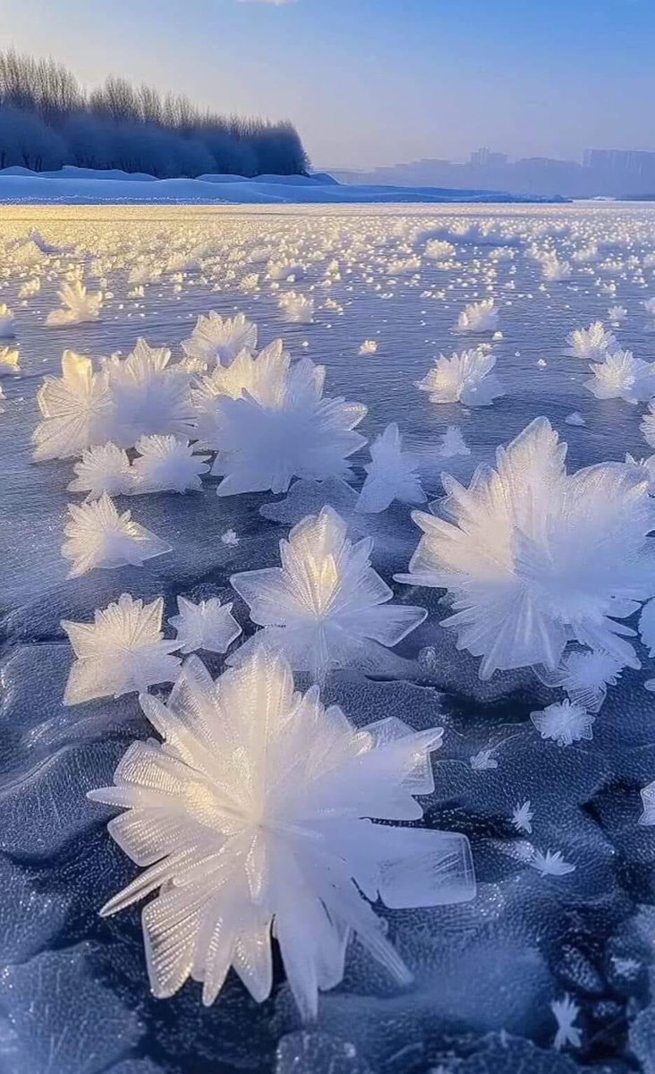 Good evening from Norway..our ice flakes