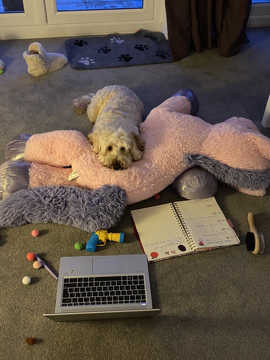 Lynsey Stewart tweet media