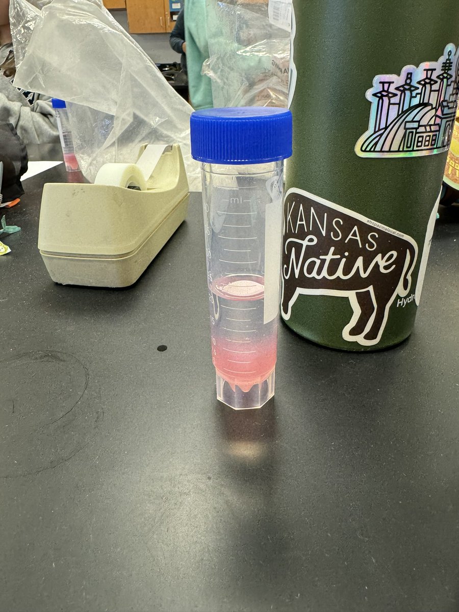 MrNicholsBio's tweet photo. This week we looked at the structure of DNA and extracted the DNA from our cheek cells. This was a really fun (and kind of gross!) lab for the kids to do and a great way to end the week. https://t.co/Lvo4xskk0C